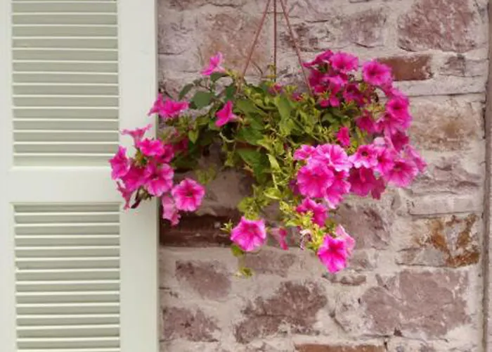 Cunda Poseidon Hotel *